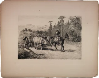 The leader of the herd, 1876